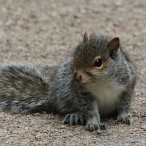 Meet your Posher, Madeline